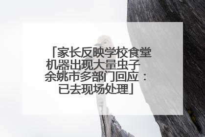 家长反映学校食堂机器出现大量虫子 余姚市多部门回应：已去现场处理