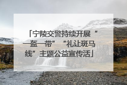 宁陵交警持续开展“一盔一带”“礼让斑马线”主题公益宣传活