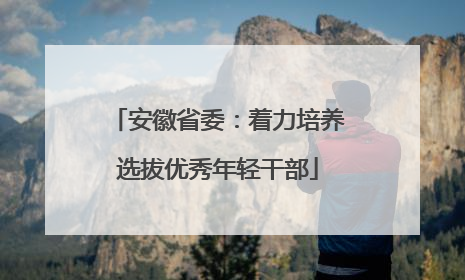 安徽省委：着力培养选拔优秀年轻干部