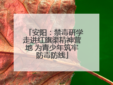 安阳：禁毒研学走进红旗渠精神营地 为青少年筑牢防毒防线