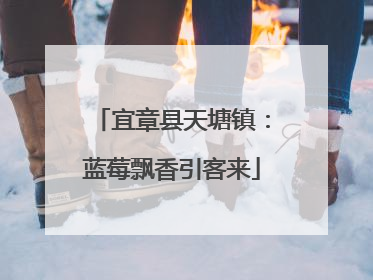 宜章县天塘镇：蓝莓飘香引客来