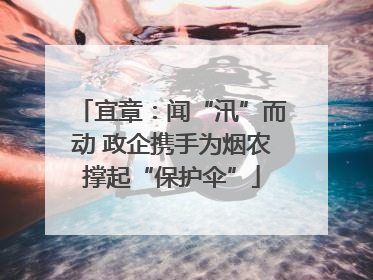 宜章：闻“汛”而动 政企携手为烟农撑起“保护伞”