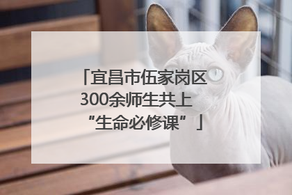 宜昌市伍家岗区300余师生共上“生命必修课”