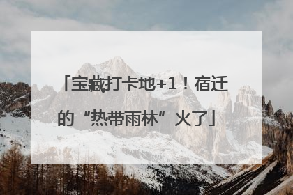 宝藏打卡地+1！宿迁的“热带雨林”火了
