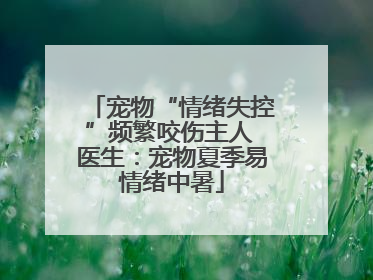 宠物“情绪失控”频繁咬伤主人 医生：宠物夏季易情绪中暑