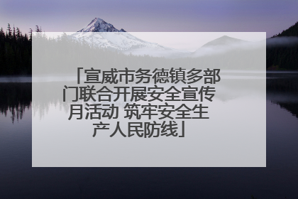 宣威市务德镇多部门联合开展安全宣传月活动 筑牢安全生产人民防线