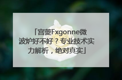 宫菱Fxgonne微波炉好不好？专业技术实力解析，绝对真实