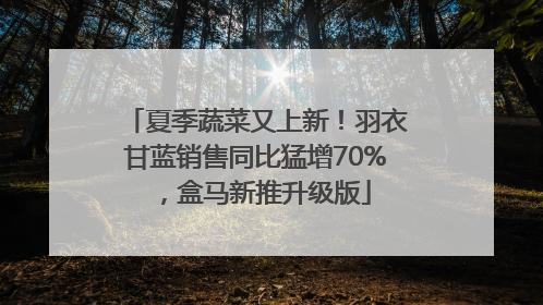 夏季蔬菜又上新！羽衣甘蓝销售同比猛增70%，盒马新推升级版