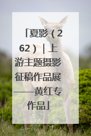 夏影（262）｜上游主题摄影征稿作品展——黄红专作品