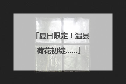 夏日限定！温县荷花初绽……