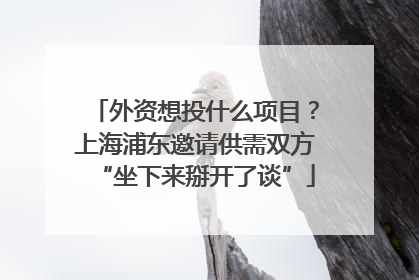 外资想投什么项目？上海浦东邀请供需双方“坐下来掰开了谈”