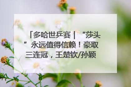 多哈世乒赛｜“莎头”永远值得信赖！豪取三连冠，王楚钦/孙颖莎就是最强混双