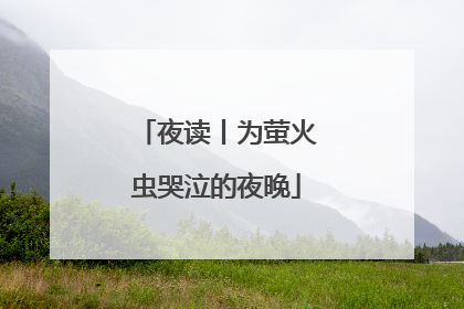 夜读丨为萤火虫哭泣的夜晚