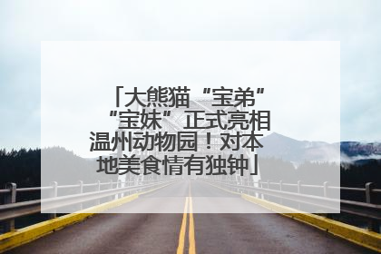 大熊猫“宝弟”“宝妹”正式亮相温州动物园！对本地美食情有独钟