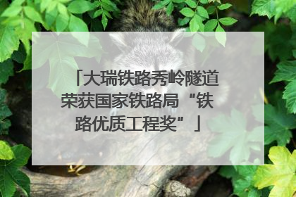 大瑞铁路秀岭隧道荣获国家铁路局“铁路优质工程奖”