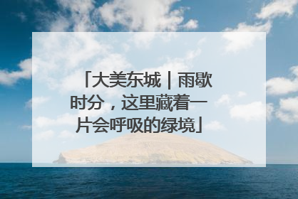 大美东城｜雨歇时分，这里藏着一片会呼吸的绿境