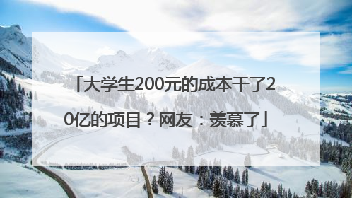 大学生200元的成本干了20亿的项目？网友：羡慕了