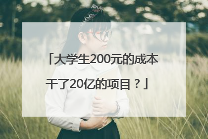 大学生200元的成本干了20亿的项目？