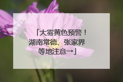 大雾黄色预警！湖南常德、张家界等地注意→
