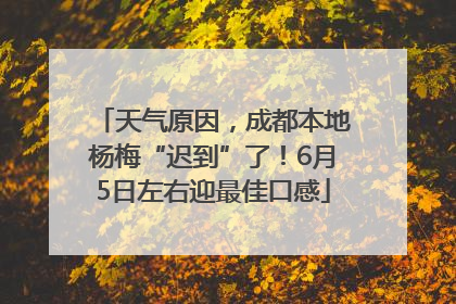 天气原因，成都本地杨梅“迟到”了！6月5日左右迎最佳口感