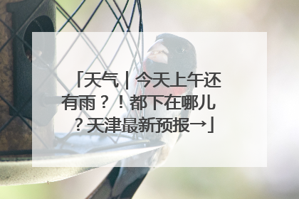 天气｜今天上午还有雨？！都下在哪儿？天津最新预报→