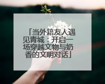 当外籍友人遇见青城：开启一场穿越文物与奶香的文明对话