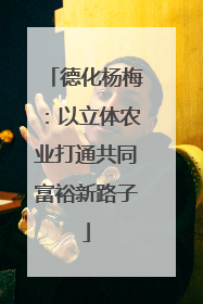 德化杨梅：以立体农业打通共同富裕新路子