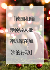 德国和瑞典领导人批评以军在加沙的行动