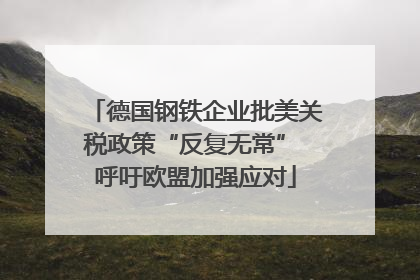 德国钢铁企业批美关税政策“反复无常” 呼吁欧盟加强应对