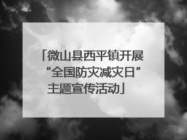 微山县西平镇开展“全国防灾减灾日”主题宣传活动