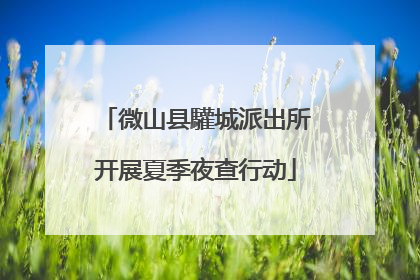 微山县驩城派出所开展夏季夜查行动