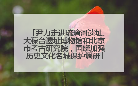 尹力走进琉璃河遗址、大葆台遗址博物馆和北京市考古研究院，围绕加强历史文化名城保护调研