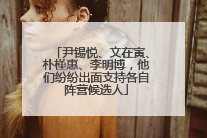 尹锡悦、文在寅、朴槿惠、李明博，他们纷纷出面支持各自阵营候选人