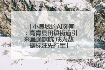 小县城的AI突围：高青县田镇街道引来星途旗航 成为数据标注先行军