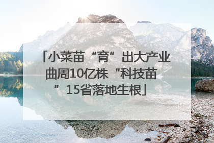 小菜苗“育”出大产业 曲周10亿株“科技苗”15省落地生根