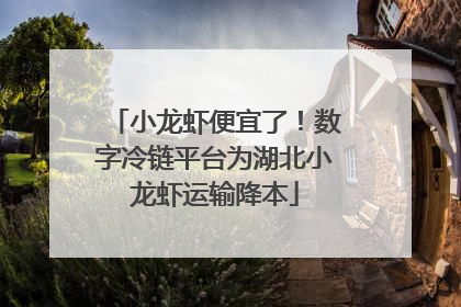 小龙虾便宜了！数字冷链平台为湖北小龙虾运输降本