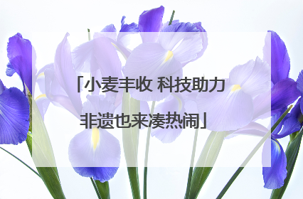 小麦丰收 科技助力 非遗也来凑热闹