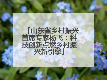 山东省乡村振兴首席专家杨飞：科技创新点燃乡村振兴新引擎