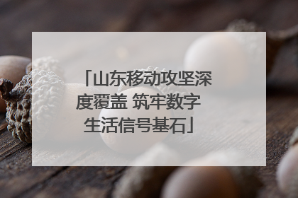 山东移动攻坚深度覆盖 筑牢数字生活信号基石