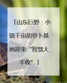 山东巨野：小镇千亩胡萝卜基地迎来“智慧大丰收”