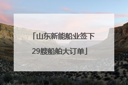 山东新能船业签下29艘船舶大订单