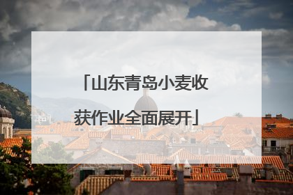 山东青岛小麦收获作业全面展开