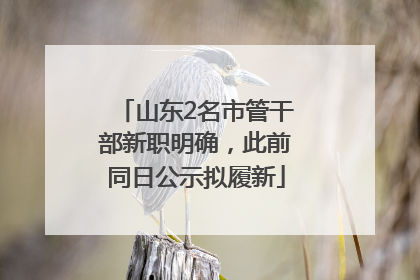 山东2名市管干部新职明确，此前同日公示拟履新