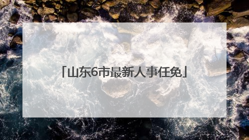 山东6市最新人事任免