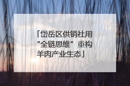 岱岳区供销社用“全链思维”重构羊肉产业生态
