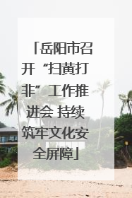 岳阳市召开“扫黄打非”工作推进会 持续筑牢文化安全屏障