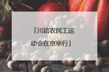川籍农民工运动会在京举行