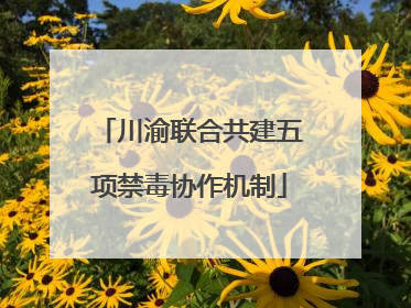 川渝联合共建五项禁毒协作机制