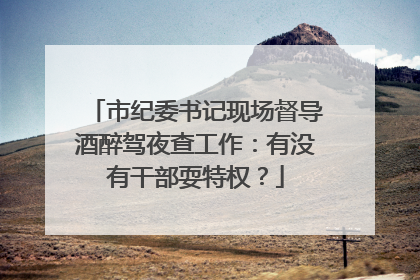 市纪委书记现场督导酒醉驾夜查工作：有没有干部耍特权？