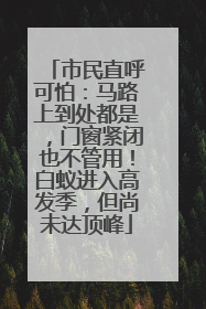 市民直呼可怕：马路上到处都是，门窗紧闭也不管用！白蚁进入高发季，但尚未达顶峰